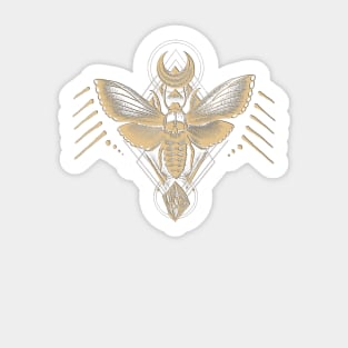 Vintage Moth Sticker